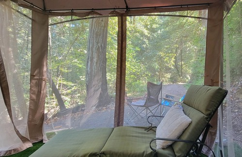 Guerneville Cabin | 2 Rms. Silent Redwoods. Pet OK