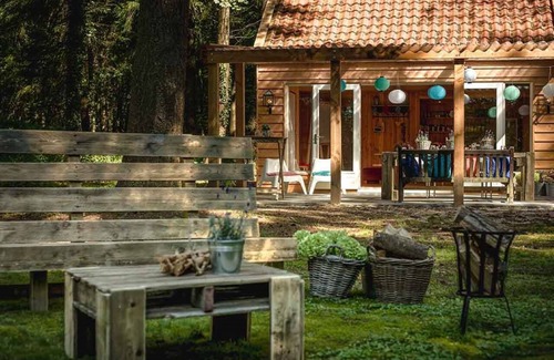 Krachtighuizen Hotel | 2 Serene Stays with Terrace Near Cycling Paths in Iconic Veluwe Trails