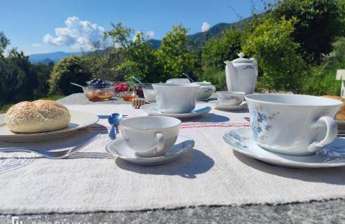 Envie Bed & Breakfast | 20 m² Bed and breakfast ∙ 2 guests