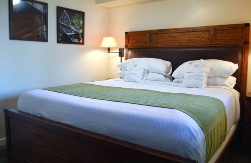 North Park City Resort | 20% off Park Regency Instant Booking 1 Bedroom Dates 1/25/2025 thru 2/1/2025