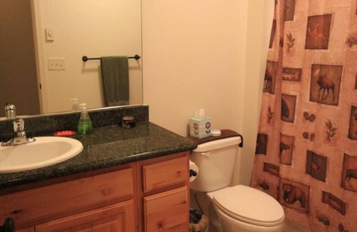 Sage Hen Condo | 2BR Condo Victor Sage Hen E11