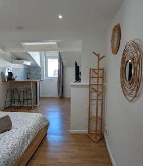 Agen Apartment | 2e Grand Studio Agen Hyper Centre - Clim - Jacobins