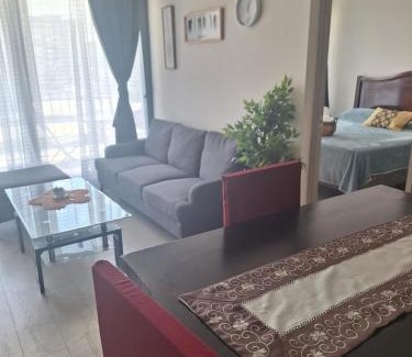 Santiago Apartment | 2H2B I Metro Irarrázaval I Estacionamiento