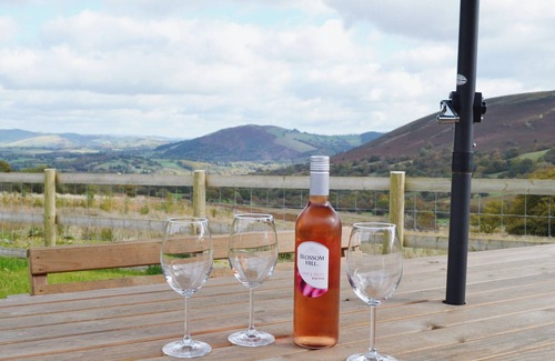 Llanwrthwl Cottage | 3 bedroom accommodation in near Llanwrthwl, Powys