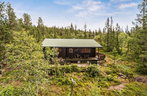 Fla Municipality House | 3 bedroom amazing home in Eggedal