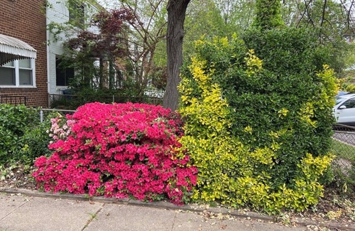 Potomac West House | 3 bedroom tounhouse near King Street metro