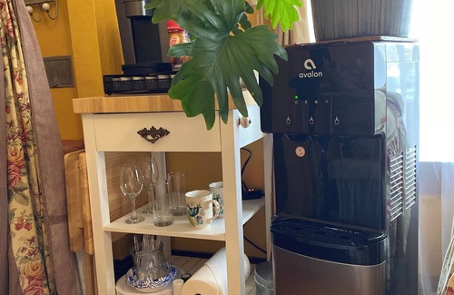 Whittier Apartment | 3 Blocks to City Park, DMNS, 5 minute drive to DBG, Convention Center downtown!