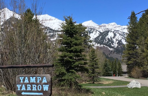 Moose Wilson Road Condo | 3 BR, 3 BA Jackson Hole Yampa Condo, 5 miles from Grand Teton National Park