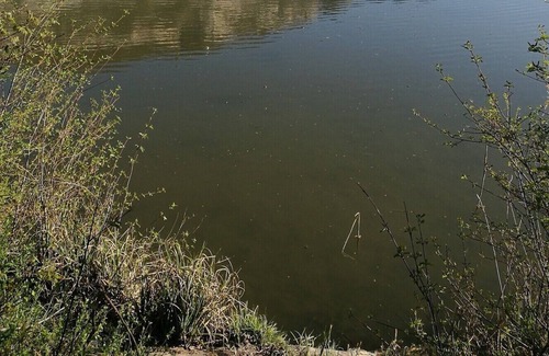 Gaillard House | 3 Chambres Privées