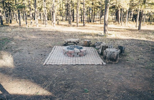 Flagstaff Cabin | 3 Kings + Bunkroom, Karaoke, Wood Stove on fenced 2.5 acre pine tree filled lot
