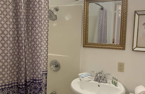 Boone Apartment | #303 The Victorian Suite, Apartment "A Winter Retreat in Boone, IA