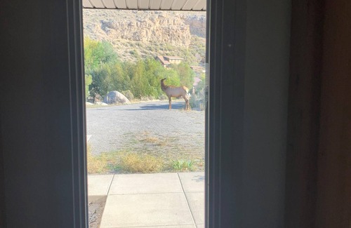 Gardiner House | 4 Bedroom 3 Bath Home At The Northern Entrance Of Yellowstone National Park