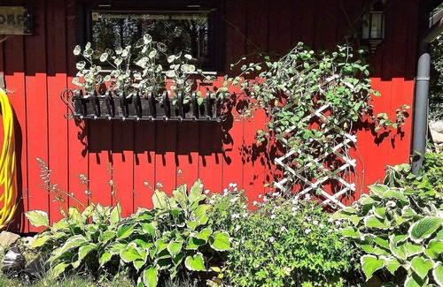 Tjornarp House | 4 person holiday home in TJÖRNARP