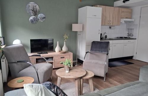 Tzummarum Ski Chalet | 4-persoons vakantiehuisje Simmerwille