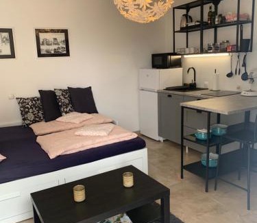 Praputnjak Apartment | 4 star studio apartment