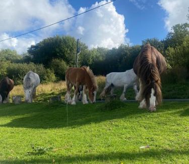 Scurlage House | 44 Gower holiday village Ty Gŵyr Cosy 2 bedroom Chalet with a seasonal indoor pool
