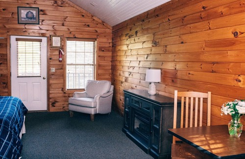 Blodgett Mills Cabin | 600 Sq. ft Cabin with King Size Bed - Quiet Location, Close to Skiing