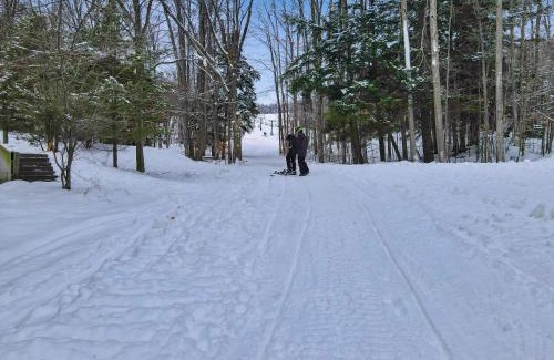 Boyne Falls House | 679 Disciples Village Unit