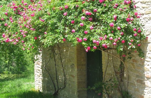 Assisi House | 7 km away from Assisi. Antique stone house in the Park of Mount Subasio. There is a private pool.