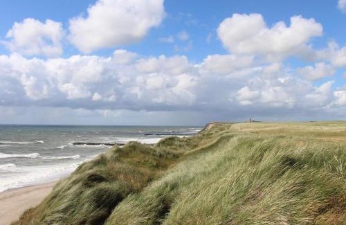 Houvig House | 9 person holiday home in Ringkøbing-By Traum