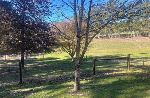 Hahndorf Cottage | A cosy fully renovated 2 bedroom dairy, in the heart of the Adelaide Hills