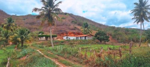 Belem House | A few kilometers from banana plantations