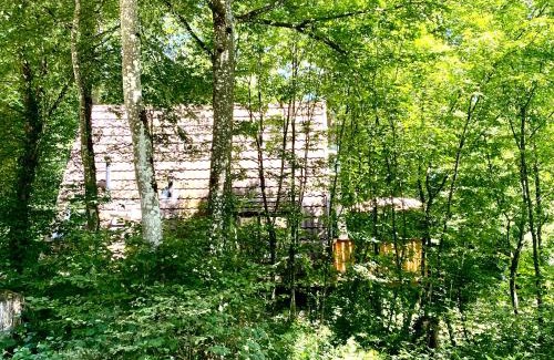 Septon Ski Chalet | A- Frame huisje Ardennen