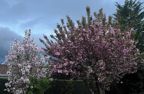 Juillan House | A getaway at the foot of the Pyrenees House near Lourdes Pets welcome
