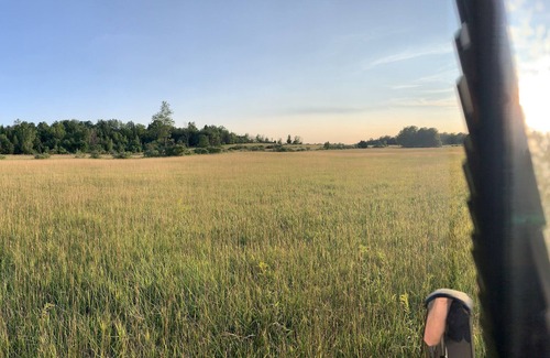 Onaway Cabin | A Great Up North Escape Awaits You