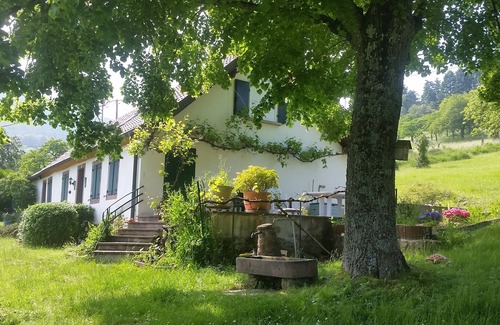 Thannenkirch House | A paradise at the foot of the Taenchel for 9/10 people in Thannenkirch