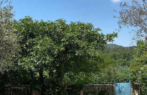 Entrechaux House | A pavilion in Provence