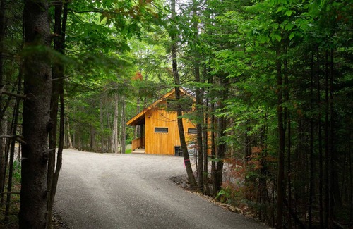 Sheridan Cabin | A private wooded retreat with modern amenities, close to town and pet friendly!