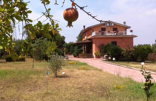 Velletri House | A quiet corner in the Roman countryside, among olive trees and vineyards.