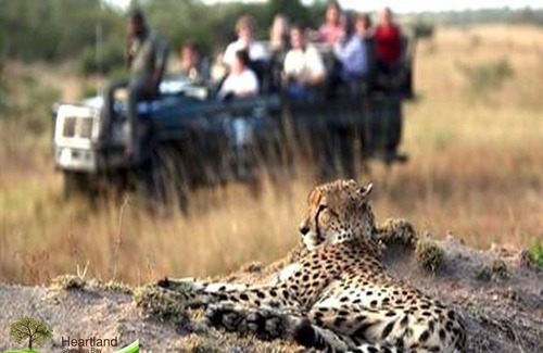 Mbazwana Ski Chalet | A real African bush experience with the perfect blend of home comforts.