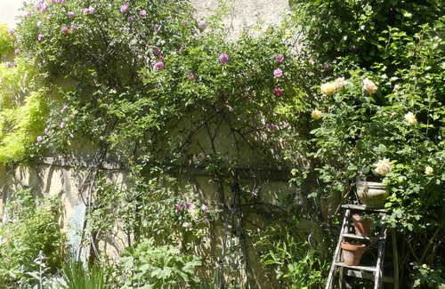 Jouvence House | A secret garden in the heart of Dijon, 10 minutes from the Burgundy countryside
