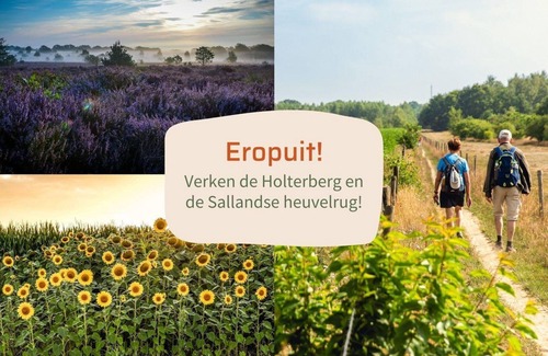 Municipality of Rijssen-Holten House | A simple but cozy cabin with porch!