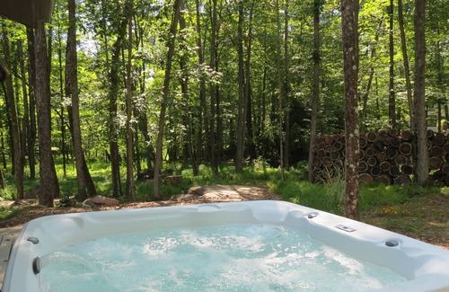Woodstock Cabin | A True Gem in the heart of Woodstock, w/fireplace & hot tub, wheelchair access