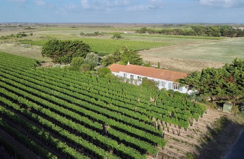 Saint-Clement-des-Baleines House | A unique house surrounded by an amazing garden - Sleeps 12- Ile de Ré