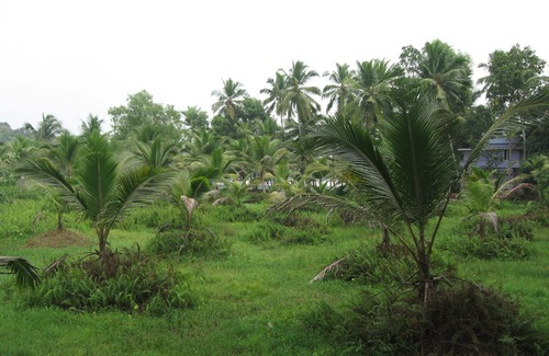 Venganoor Villa | A Very Very Special House, VILLA LAKEVIEW ,(with Pool) Kovalam