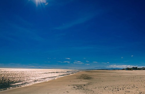 Armissan House | A zen stay in Armissan, a winegrowing village 10 minutes from Narbonne and the beach
