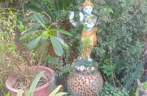 Gandhinagar House | Aaranya Bliss