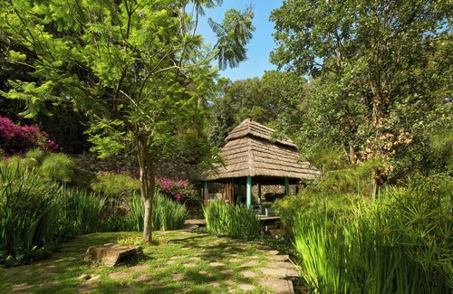Valle de Bravo Apartment | AAV : La Cajiga - Intimate studio in the forest.