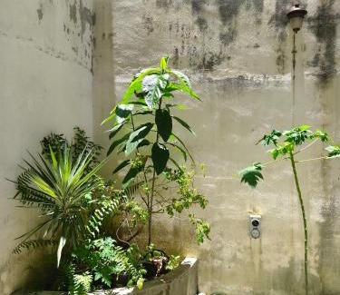 Historic George Town House | Aayu Heritage - Heritage Home in Stewart Lane