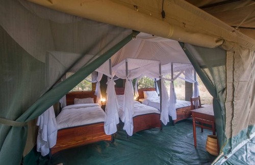 Kogatende Other | Acacia Migration Camp Kogatende