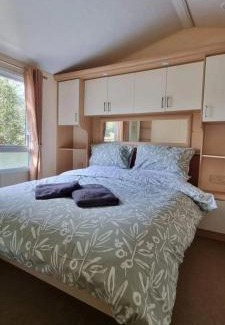 St Leonards-On-Sea Other | Acorn