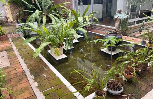Chang Phueak House | ADA House CNX