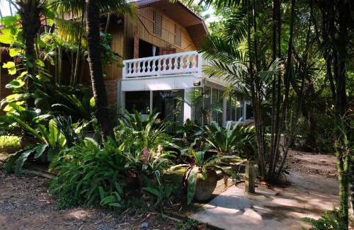 Chang Phueak House | ADA House CNX