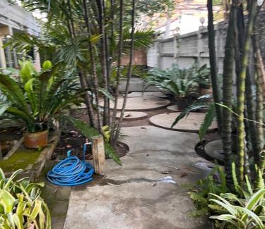 Chang Phueak Bed & Breakfast | ADA House CNX