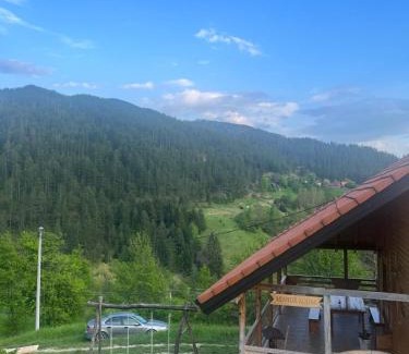 Bajina Basta Apartment | Adamov Konak Apartmani