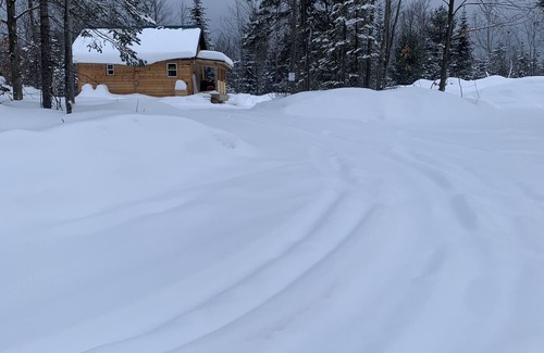 Cold Brook Cabin | Adirondack 503